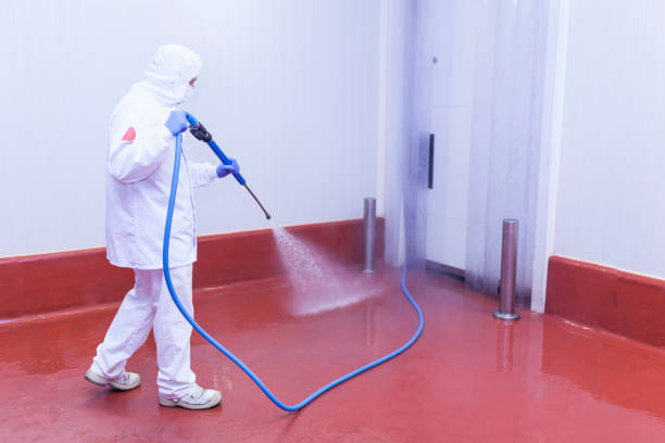 Best Solar Panel Cleaning  in Mendota, IL