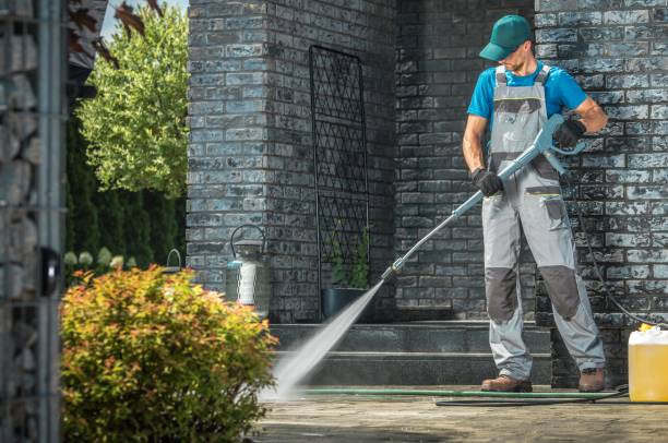 Best Fence Cleaning  in Mendota, IL