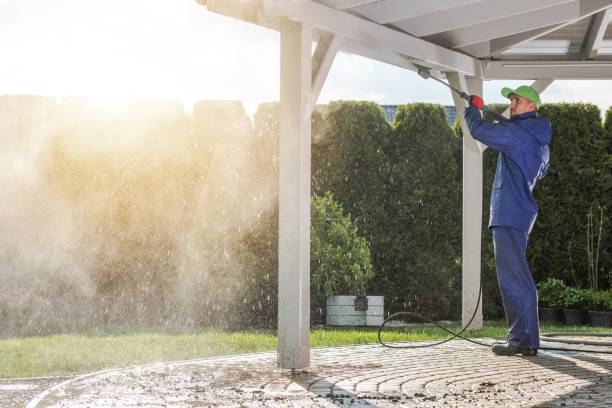 Best Graffiti Removal  in Mendota, IL