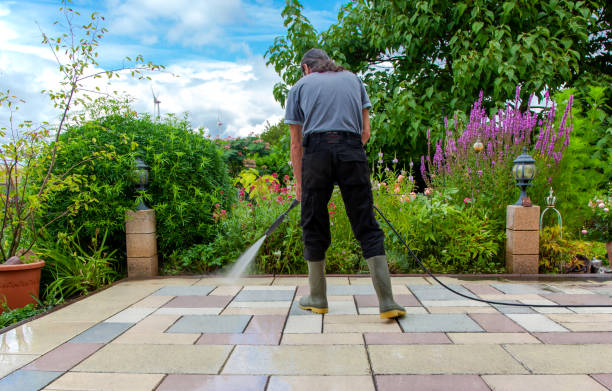 Best Pool Deck Cleaning  in Mendota, IL